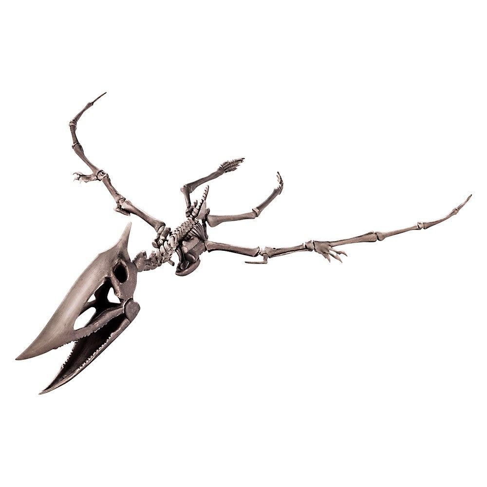 Pteranodon Skeleton Dig Kit