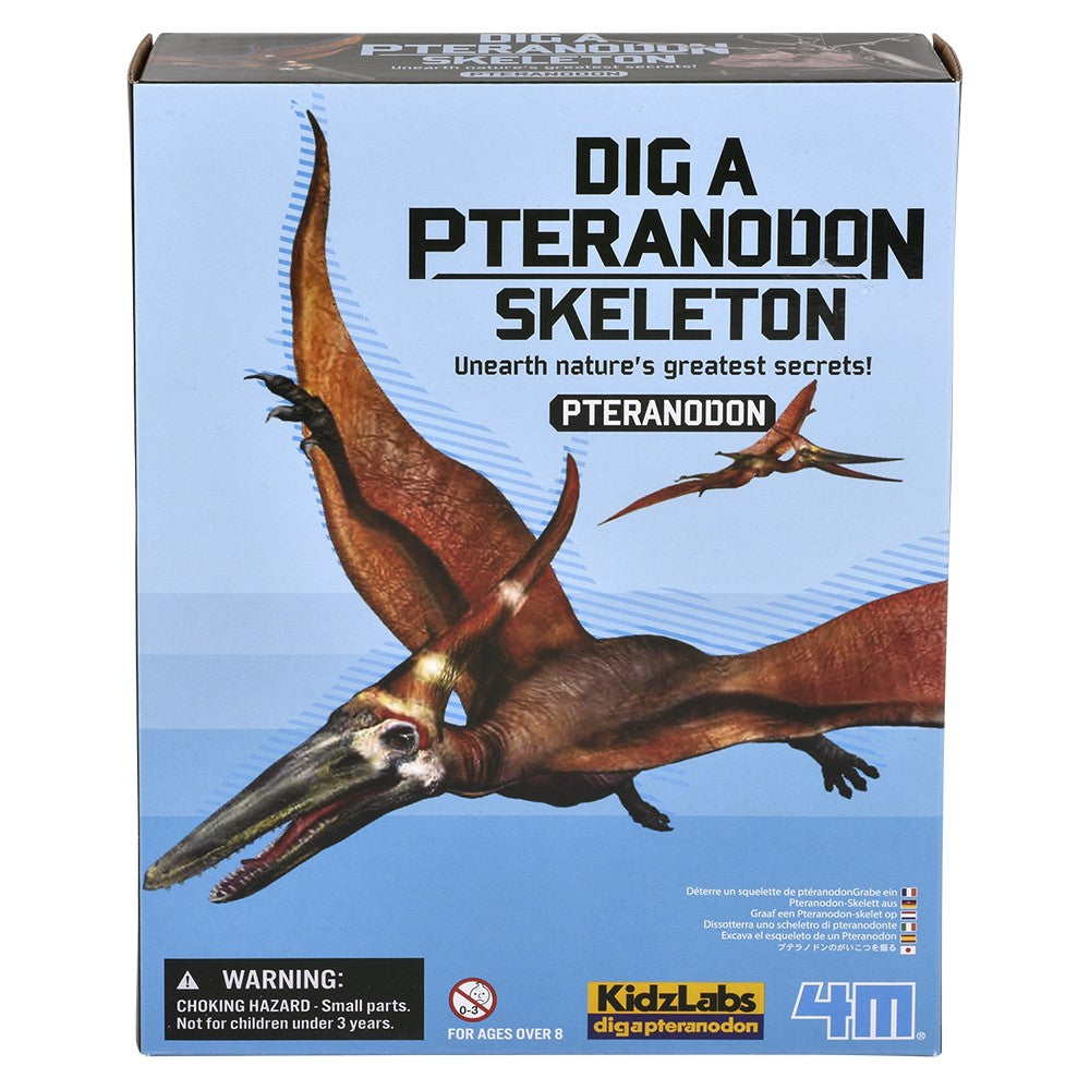 Pteranodon Skeleton Dig Kit