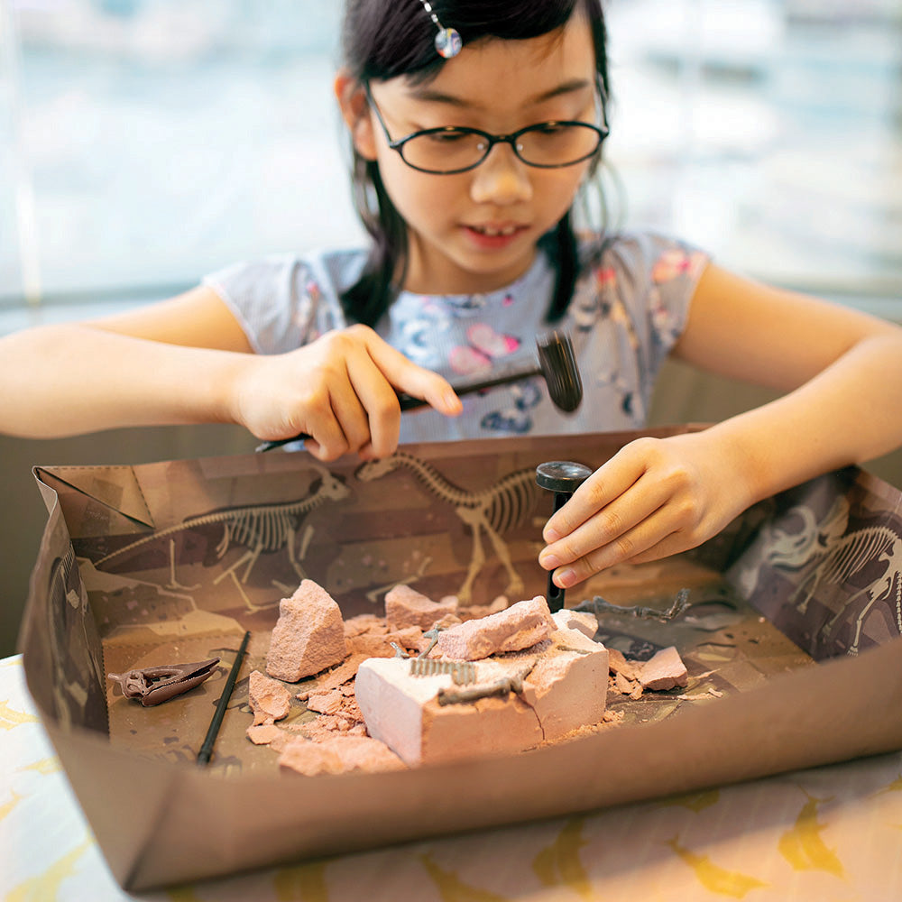 Pteranodon Skeleton Dig Kit