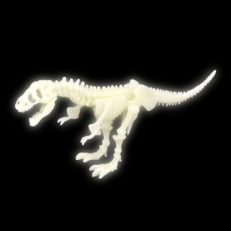 Glow-in-the-Dark T-Rex Skeleton