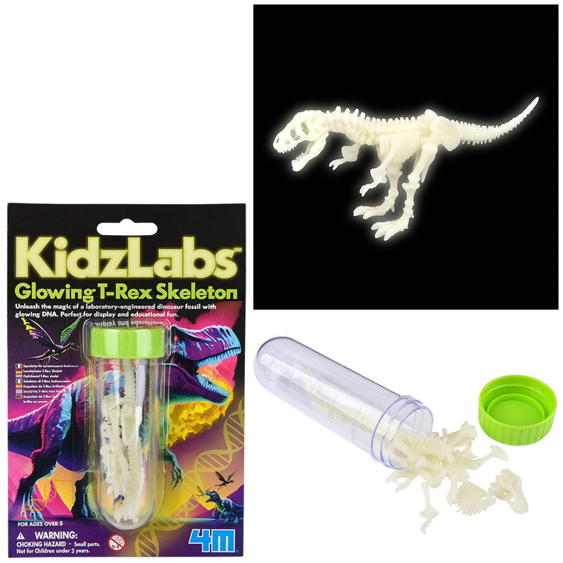 Glow-in-the-Dark T-Rex Skeleton