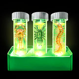 Glow Critter Lab Light-Up Test Tube Set