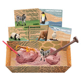 Wildlife Animal Digging Kit