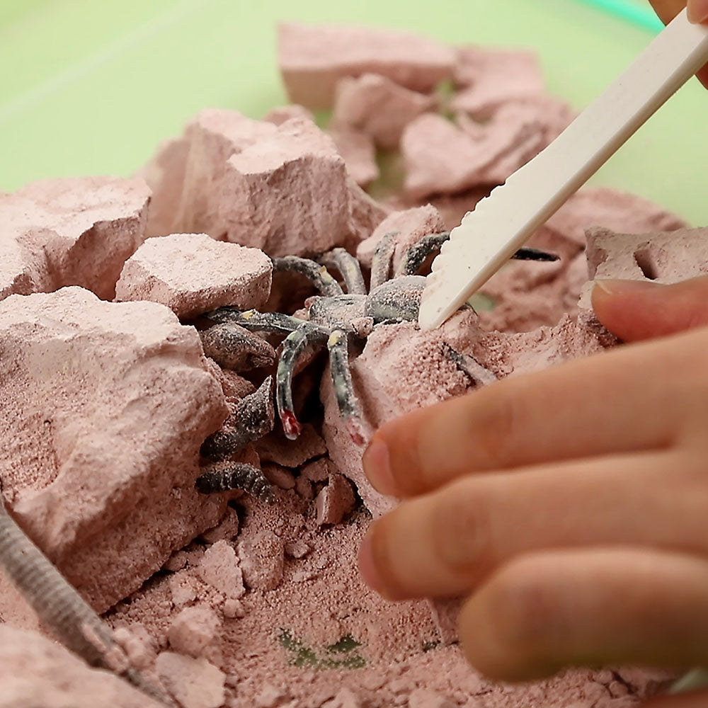 Creepy Crawley Digging Lab