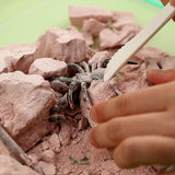 Creepy Crawley Digging Lab