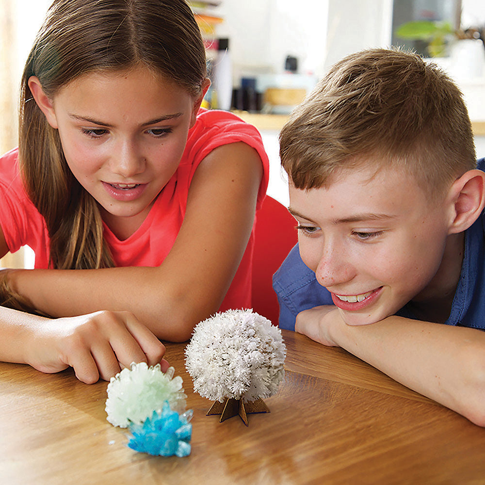 Crystal Science Kit (1 EA)