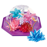 Crystal Growing Magical Unicorn Crystal Terrarium