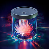 Crystal Growing Light-Up Display