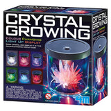 Crystal Growing Light-Up Display