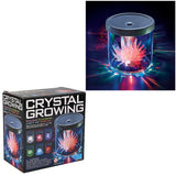 Crystal Growing Light-Up Display