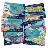 Glow-In-The-Dark Sharks Mould & Paint Kit