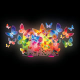 Glow Butterfly Canvas Light