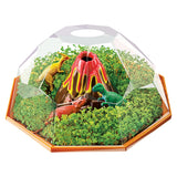 Dinosaur Terrarium Plant Growing Kit