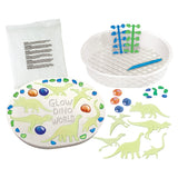 Glow Dinosaur Garden Stepping Stone Kit