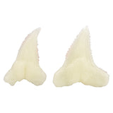 Glow Shark Tooth Fossils Dig Kit