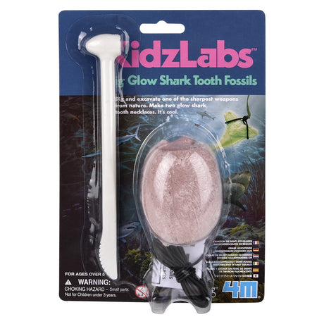 Glow Shark Tooth Fossils Dig Kit
