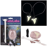 Glow Shark Tooth Fossils Dig Kit