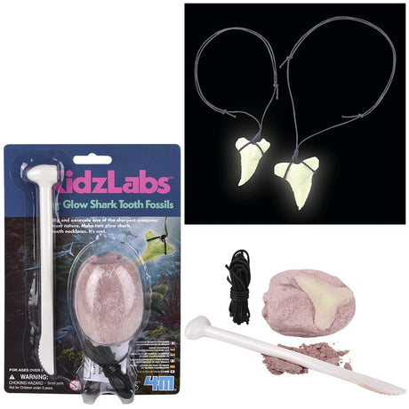 Glow Shark Tooth Fossils Dig Kit