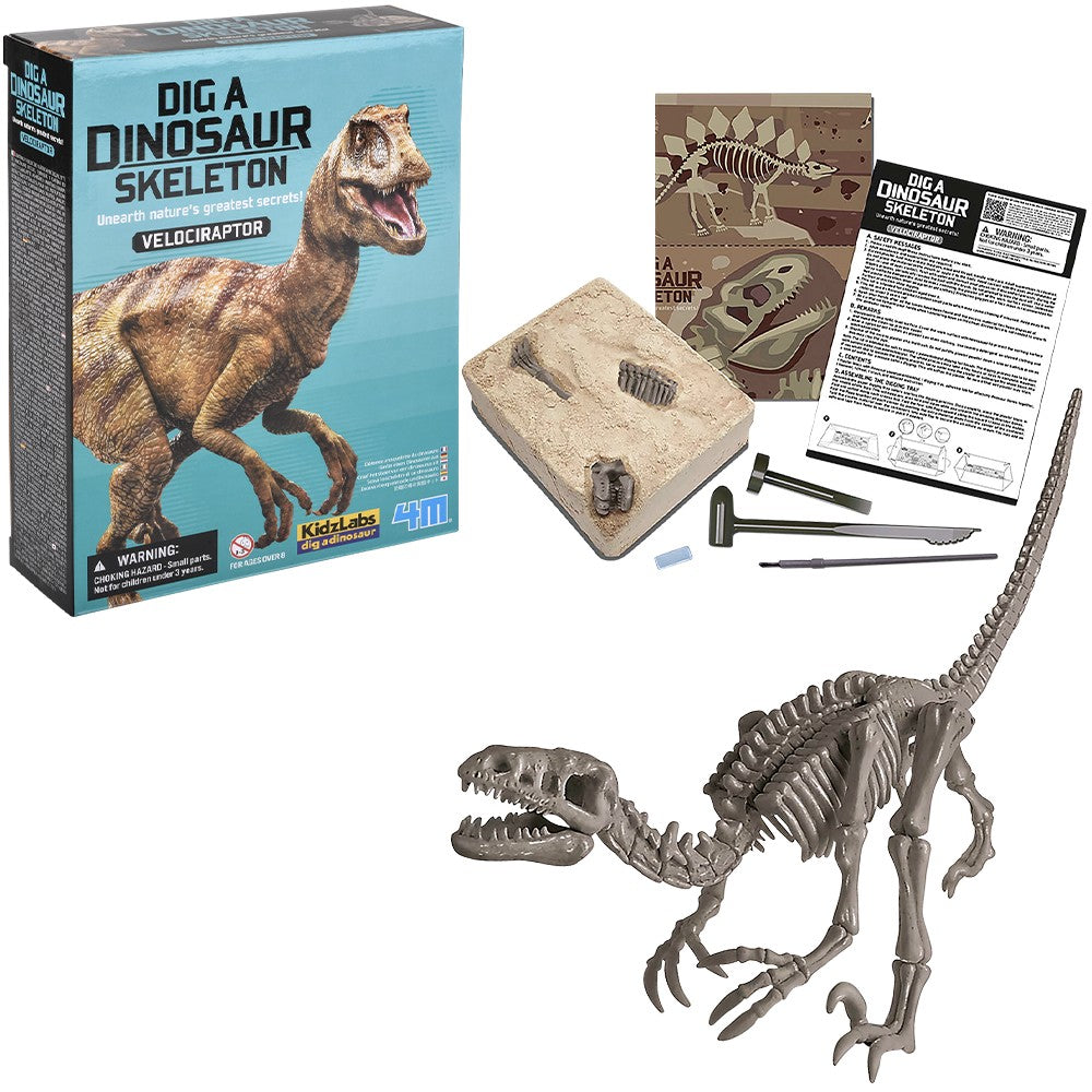 Dinosaur Skeleton Dig Kit Velociraptor