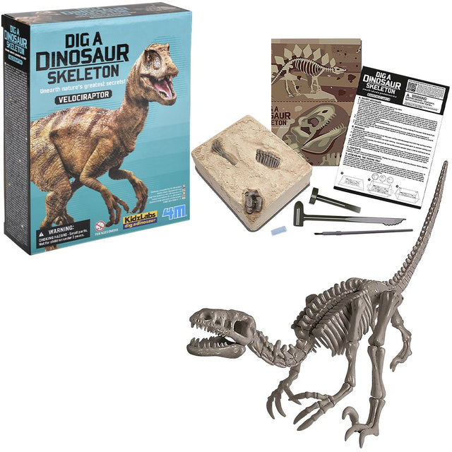 Dinosaur Skeleton Dig Kit Velociraptor