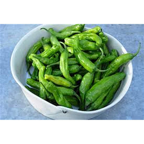 শিশিতো মরিচ ৮ আউন্স তাজা এবং সুস্বাদু