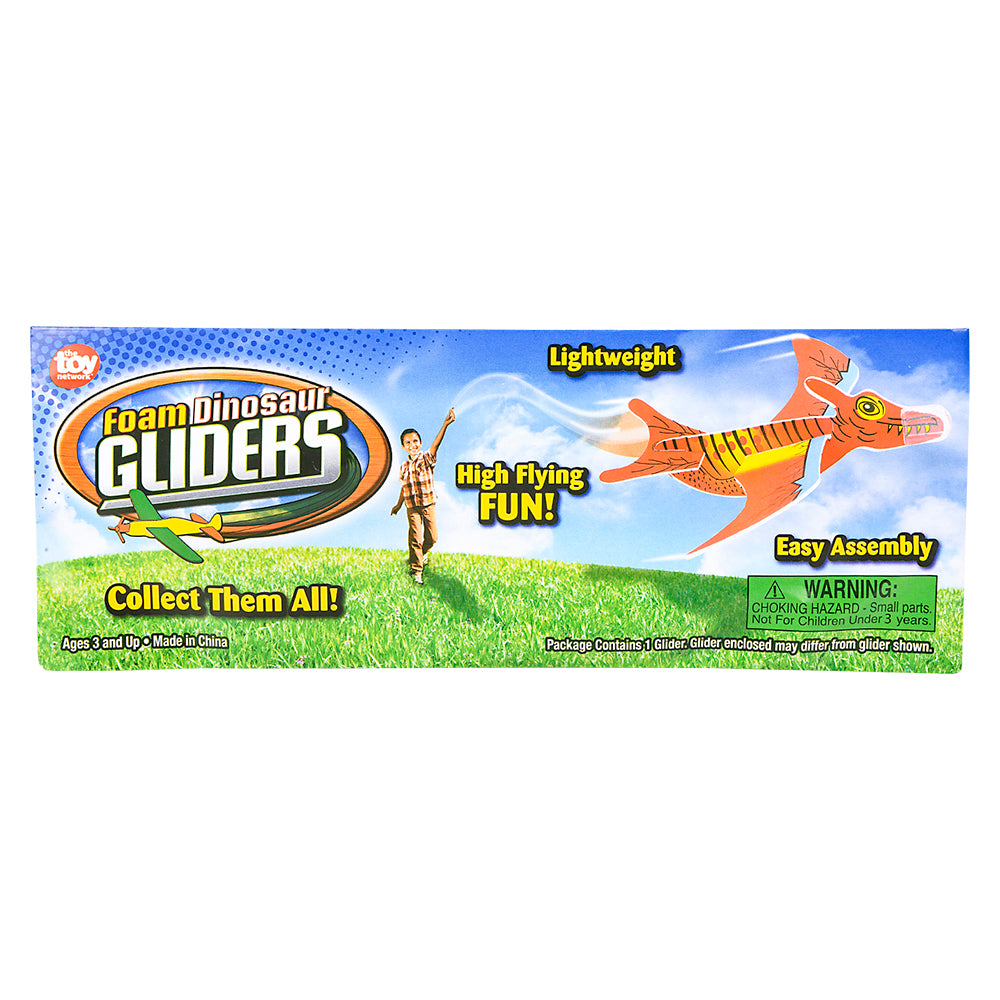 Dinosaur Glider (1 DZ)