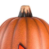 16 in. Spooky Halloween Jack-O-Lantern Plug-In LED
