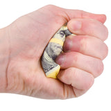 Squish Money Soft Slow-Rising Foam (1 DZ)