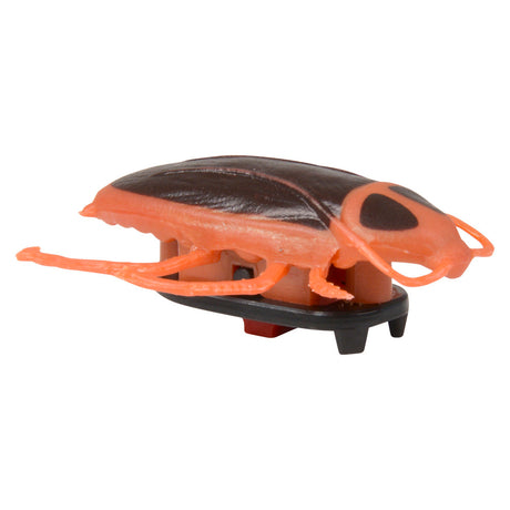 Creepy Crawler Wall Climber (1 DZ)