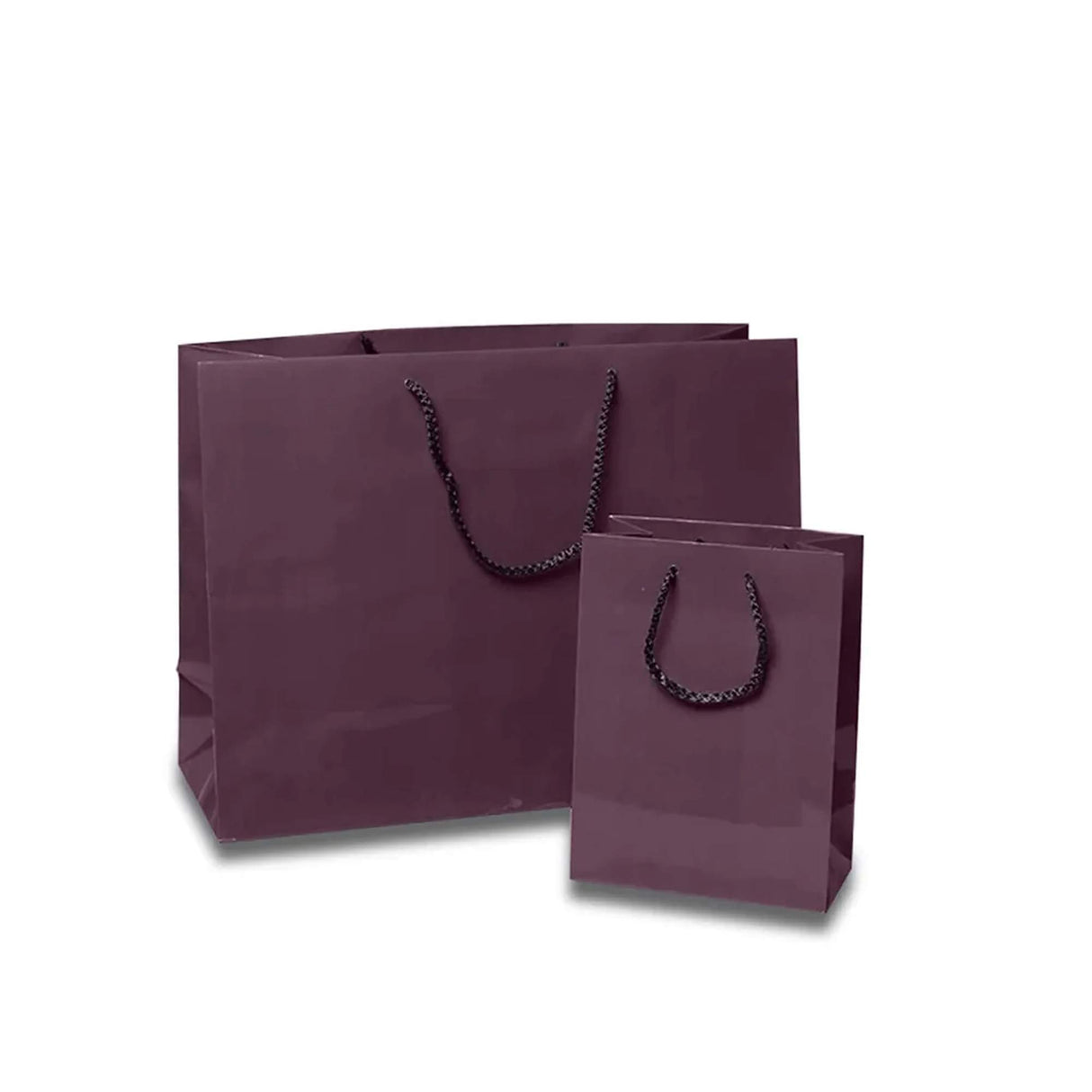 Sleek and Compact Glossy Euro Totes 4 3/4'' x 2 3/4'' x 6 3/4''