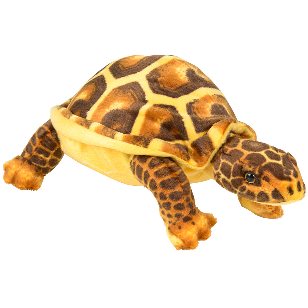Plush Turtle Brown/Green 10.5"