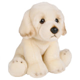 Floppy Golden Retriever Plush (1 PC)