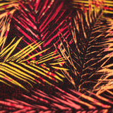 Electric Tropics Nylon Spandex Fabric - Tropical Palm Leaf Print, Multi, Orange-Red, Green-Blue, Pink-Purple, 58-60" Width (1 Yard)