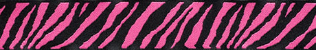 Woven Ribbon 7/8" Black and Hot Pink Zebra Reversible