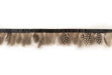 Feather Trim Decorative Sew-On