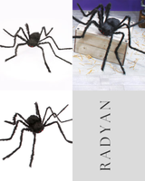 Skeleton Scorpion Halloween Decoration, 9 in.