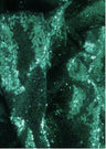 Mini Glitz Disc Sequins Polyester Fabric - 3MM Round Sequins, 50" Width (1 Yard)