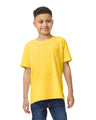 Gildan 5000B Youth Heavy Cotton Fabric - Daisy, Short Sleeve, Classic Fit (1 Piece)