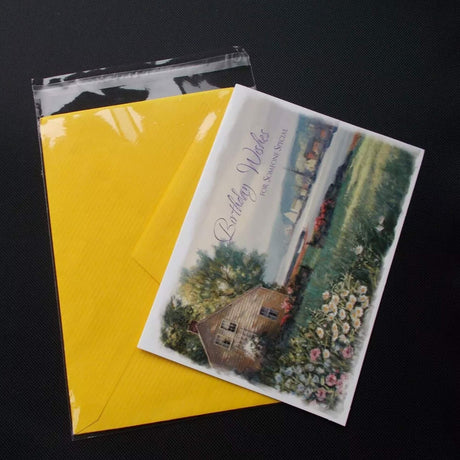 Resilient Self-Sealing Bags with Lip 6" x 9 1/2" 1.6 mil