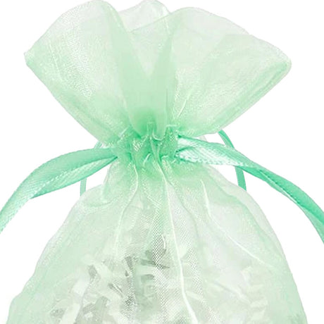 Organza Bags 2” x 3” Elegant Gift Wrapping Solution