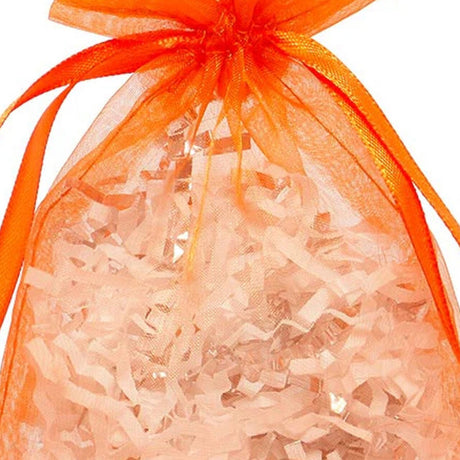 2" x 3" Organza Bag Perfect for Tiny Gifts and Favors