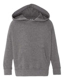 Toddler Special Blend Hooded Raglan Sweatshirt