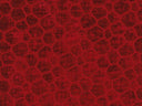 1 yarda Serenade textil suave y elegante de lujo 56" de ancho