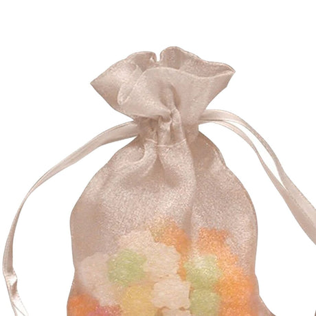 Elegant Crystallized Gift Bag 4" x 6"