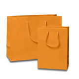 Small Yet Stunning: Glossy Euro Totes 16'' x 6'' x 12''
