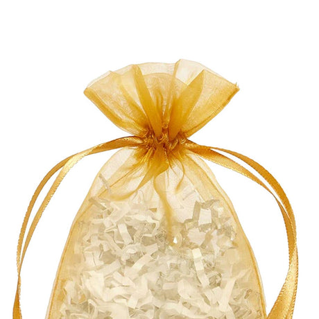 Spacious Gift Wrapping Option 8" x 12" Organza Bag