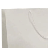 Colored Glossy Euro Totes 4 3/4'' x 2 3/4'' x 6 3/4''