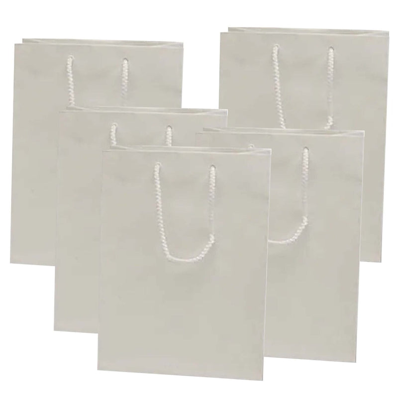 Glossy Euro Totes 16'' x 6'' x 12'' for Small Packaging Needs
