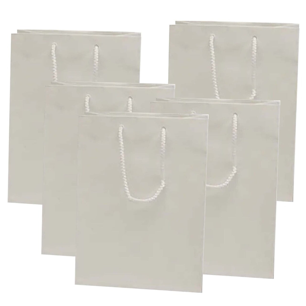 Glossy Euro Totes 16'' x 6'' x 12'' for Small Packaging Needs