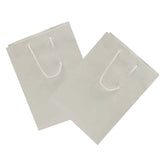 16'' x 6'' x 12'' Glossy Paper Euro Totes Small Size Big Style